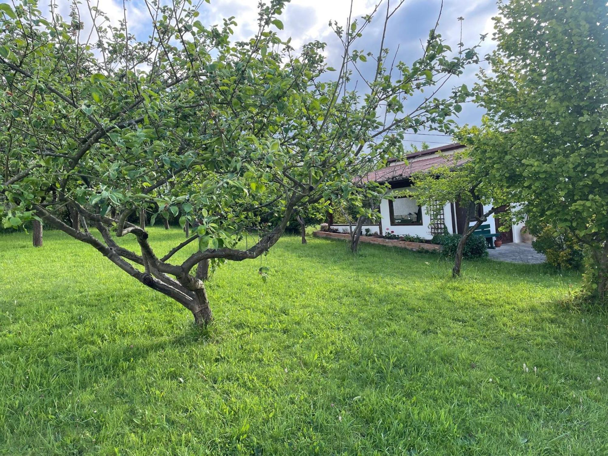 Casa Benjamin Villa Oviedo Eksteriør bilde