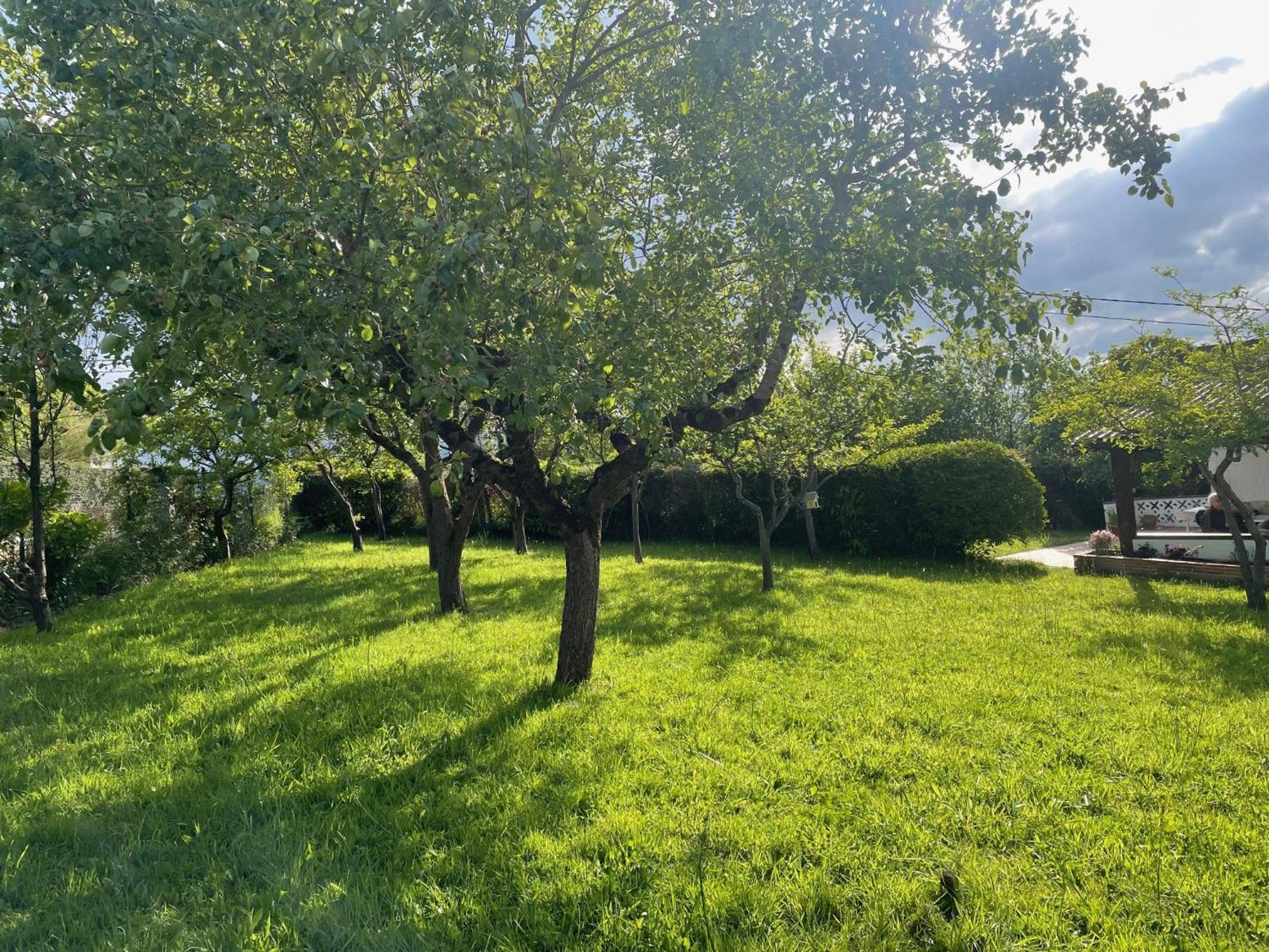 Casa Benjamin Villa Oviedo Eksteriør bilde